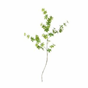 Nihon Bellflower Faux Stem